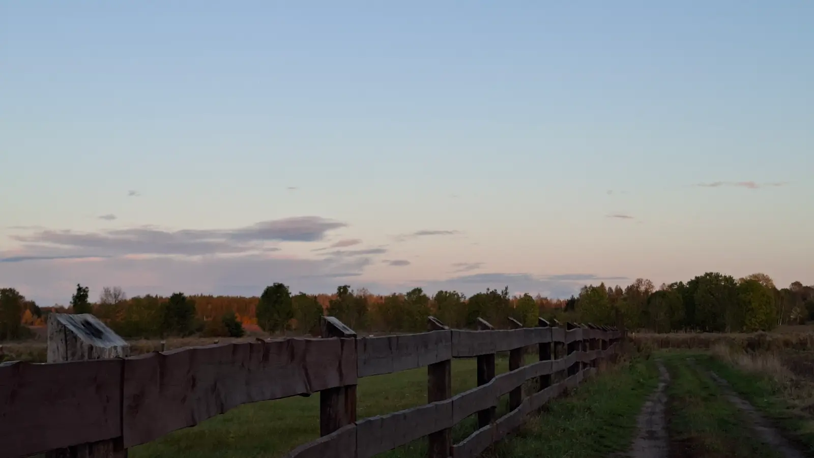 Zdjęcie panoramiczne w formacie poziomym ukazuje wiejski krajobraz o zachodzie słońca, w którym dominują ciepłe i pastelowe barwy nieba. Na pierwszym planie po lewej stronie widać solidne, drewniane ogrodzenie z grubych desek, które biegnie wzdłuż wydeptanej, ziemistej ścieżki prowadzącej w głąb kadru. W tle rozciąga się pasmo gęstych drzew, oświetlonych przez ostatnie promienie słońca, co nadaje im złociste i głęboko zielone odcienie. Cała kompozycja jest bardzo spokojna i klimatyczna, z dużą ilością wolnej przestrzeni w górnej części zdjęcia wypełnionej błękitnym niebem z delikatnymi chmurami. Zrównoważone oświetlenie podkreśla rustykalny charakter wiejskiej scenerii, czyniąc zdjęcie idealnym do projektów związanych z naturą lub wypoczynkiem na świeżym powietrzu.