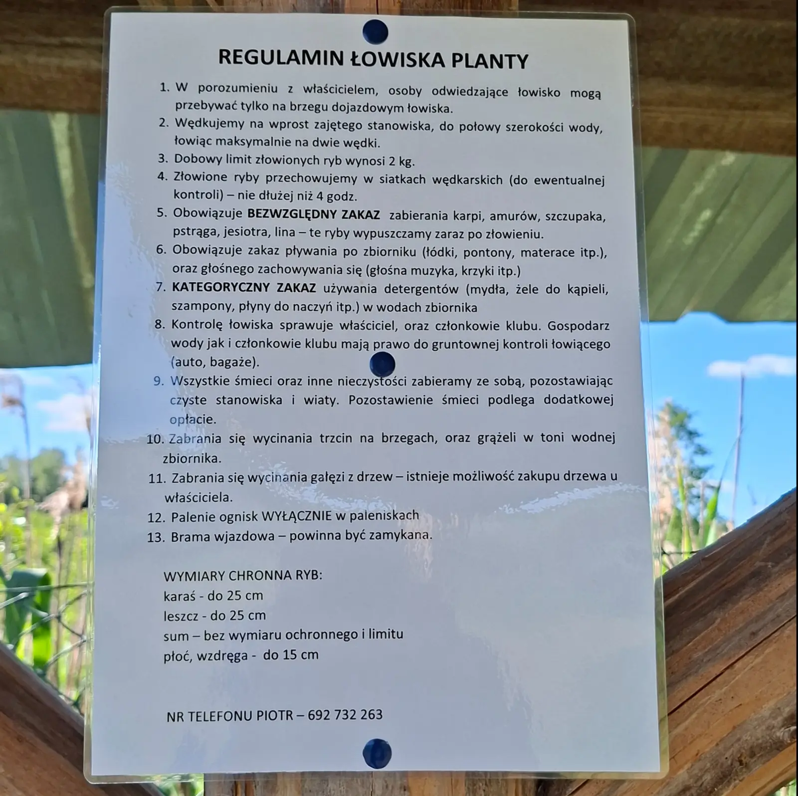 Zdjęcie przedstawia pionowo zorientowaną tablicę z regulaminem łowiska wędkarskiego „Planty”, zamontowaną na drewnianej konstrukcji w otoczeniu przyrody. Tablica ma format prostokątny o proporcjach zbliżonych do 3:4 i zawiera czarny, wyraźny tekst na jasnym tle, przytwierdzony niebieskimi pinezkami. Treść regulaminu: REGULAMIN ŁOWISKA PLANTY 1. W porozumieniu z właścicielem, osoby odwiedzające łowisko mogą przebywać tylko na brzegu dojazdowym łowiska. 2. Wędkujemy na wprost zajętego stanowiska, do połowy szerokości wody, łowiąc maksymalnie na dwie wędki. 3. Dobowy limit złowionych ryb wynosi 2 kg. 4. Złowione ryby przechowujemy w siatkach wędkarskich (do ewentualnej kontroli) – nie dłużej niż 4 godz. 5. Obowiązuje BEZWZGLĘDNY ZAKAZ zabierania karpi, amurów, szczupaka, pstrąga, jesiotra, lina – te ryby wypuszczamy zaraz po złowieniu. 6. Obowiązuje zakaz pływania po zbiorniku (łódki, pontony, materace itp.), oraz głośnego zachowywania się (głośna muzyka, krzyki itp.) 7. KATEGORYCZNY ZAKAZ używania detergentów (mydła, żele do kąpieli, szampony, płyny do naczyń itp.) w wodach zbiornika 8. Kontrolę łowiska sprawuje właściciel, oraz członkowie klubu. Gospodarz wody jak i członkowie klubu mają prawo do gruntownej kontroli łowiącego (auto, bagaże). 9. Wszystkie śmieci oraz inne nieczystości zabieramy ze sobą, pozostawiając czyste stanowiska i wiaty. Pozostawienie śmieci podlega dodatkowej opłacie. 10. Zabrania się wycinania trzcin na brzegach, oraz grążeli w toni wodnej zbiornika. 11. Zabrania się wycinania gałęzi z drzew – istnieje możliwość zakupu drzewa u właściciela. 12. Palenie ognisk WYŁĄCZNIE w paleniskach 13. Brama wjazdowa – powinna być zamykana. WYMIARY CHRONNA RYB: karaś - do 25 cm, leszcz - do 25 cm, sum - bez wymiaru ochronnego i limitu, płoć, wzdręga - do 15 cm. NR TELEFONU PIOTR – 692 732 263. W tle widać zarysy drzew, trzcin oraz niebieskie niebo, co wskazuje na lokalizację nad wodą. Całość jest dobrze doświetlona światłem dziennym.