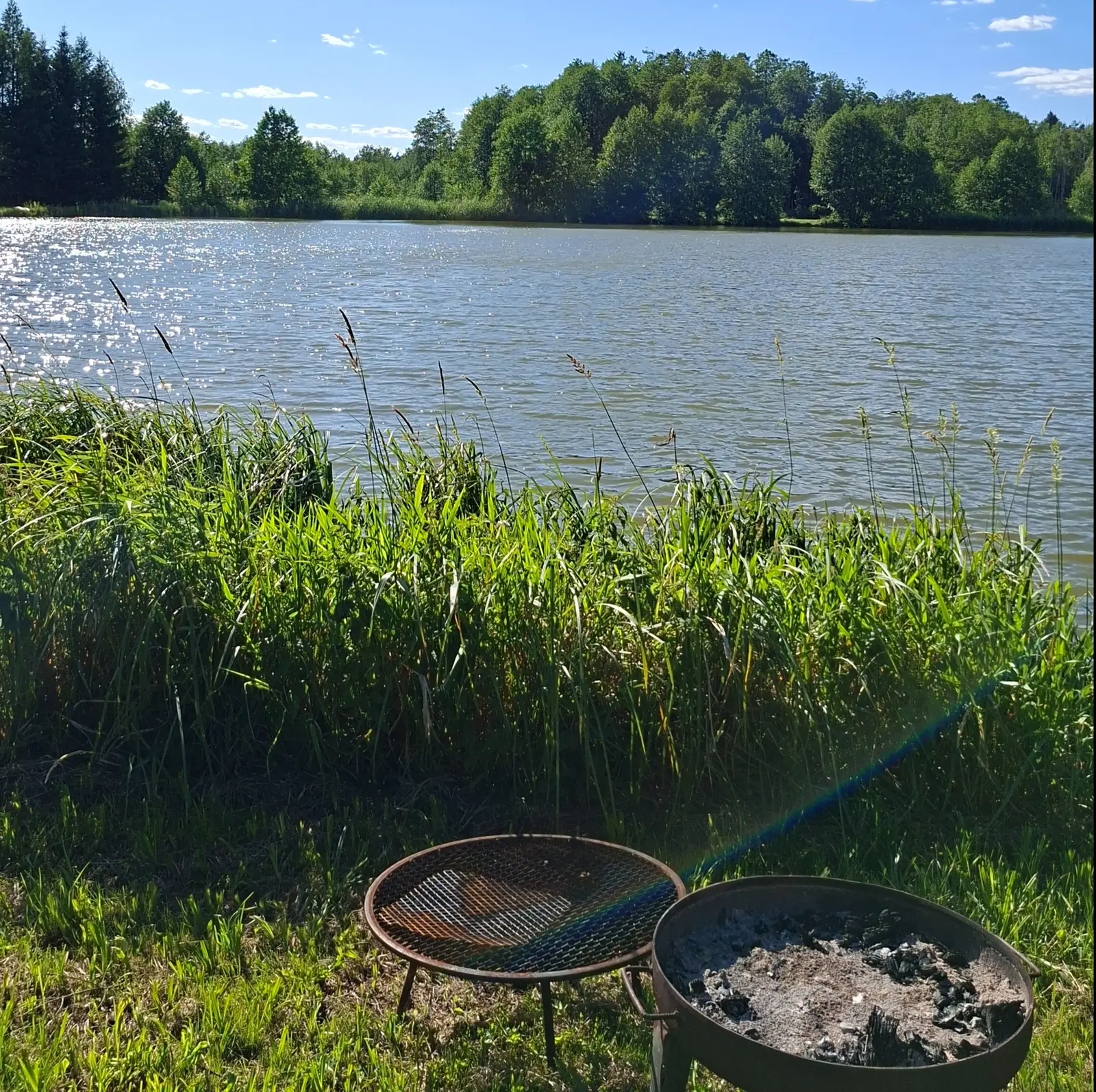 Zdjęcie przedstawia sielski krajobraz nad jeziorem w orientacji pionowej, ukazujące spokojną taflę wody w słoneczny dzień. Na pierwszym planie, na zielonym trawiastym brzegu, znajdują się dwa okrągłe grille ustawione na niskich nóżkach, z których jeden wypełniony jest popiołem po ognisku. Wysokie, soczyście zielone trawy dominują w dolnej części kadru, przesłaniając częściowo widok na lśniące od słońca jezioro. W tle rozciąga się gęsty, liściasty las, który tworzy ciemną linię brzegową na tle czystego, błękitnego nieba z nielicznymi chmurami. Oświetlenie jest naturalne i bardzo jasne, co podkreśla odbicia słońca w wodzie oraz tworzy delikatną poświatę na krawędziach przedmiotów.